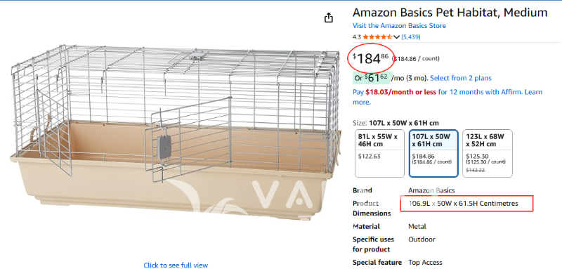 251023155932_Guinea 4.png